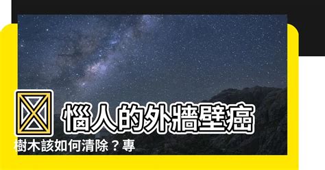 外牆除樹|牆壁長樹造成的影響 – 展新清潔公司外牆清洗